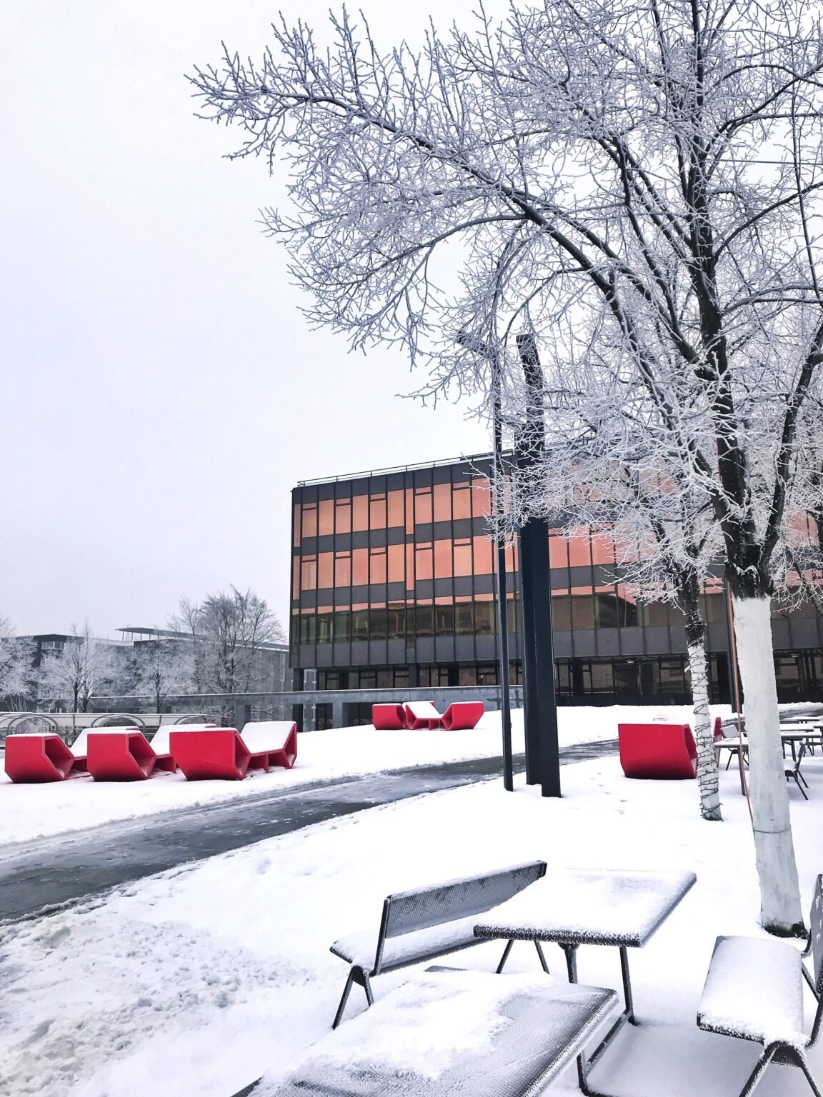 Study in Other Countries: Study in Switzerland, A charming winter tableau on a university campus, as snow blankets the grounds. The snow-covered trees and buildings create a serene and festive atmosphere.