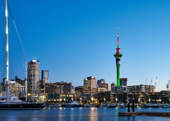 A picturesque cityscape view in New Zealand, combining urban life with natural beauty, perfect for studying in New Zealand.