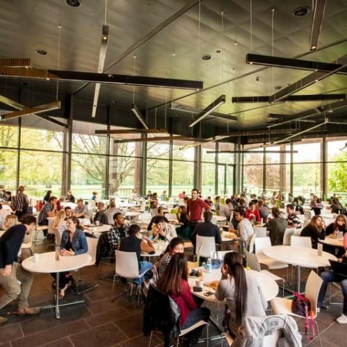 Students having lunch together at the summer school